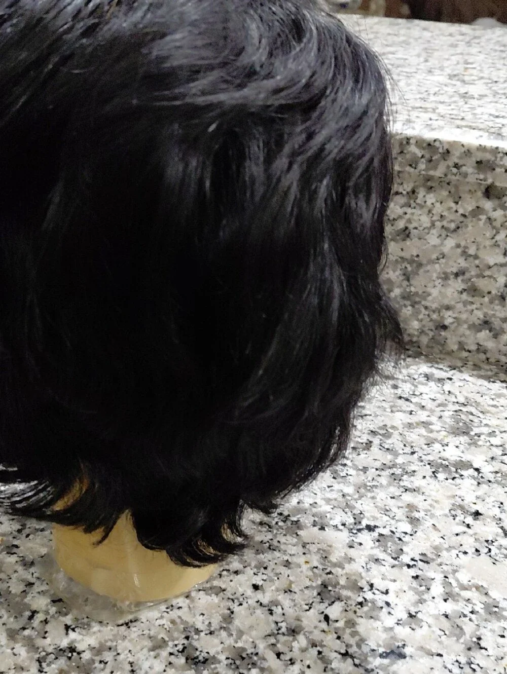 Short Black Women’s Wig - Classic Layered Style Human Blend